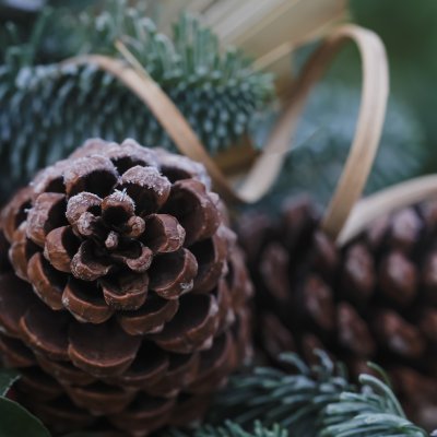 Adventskranz-Workshop