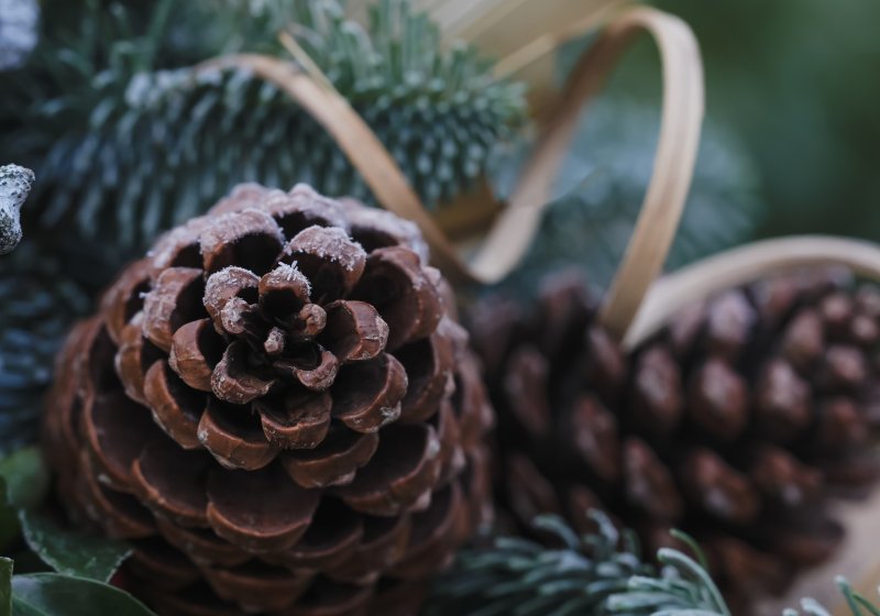 Adventskranz-Workshop