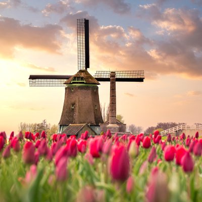 Tagesfahrt zum Keukenhof